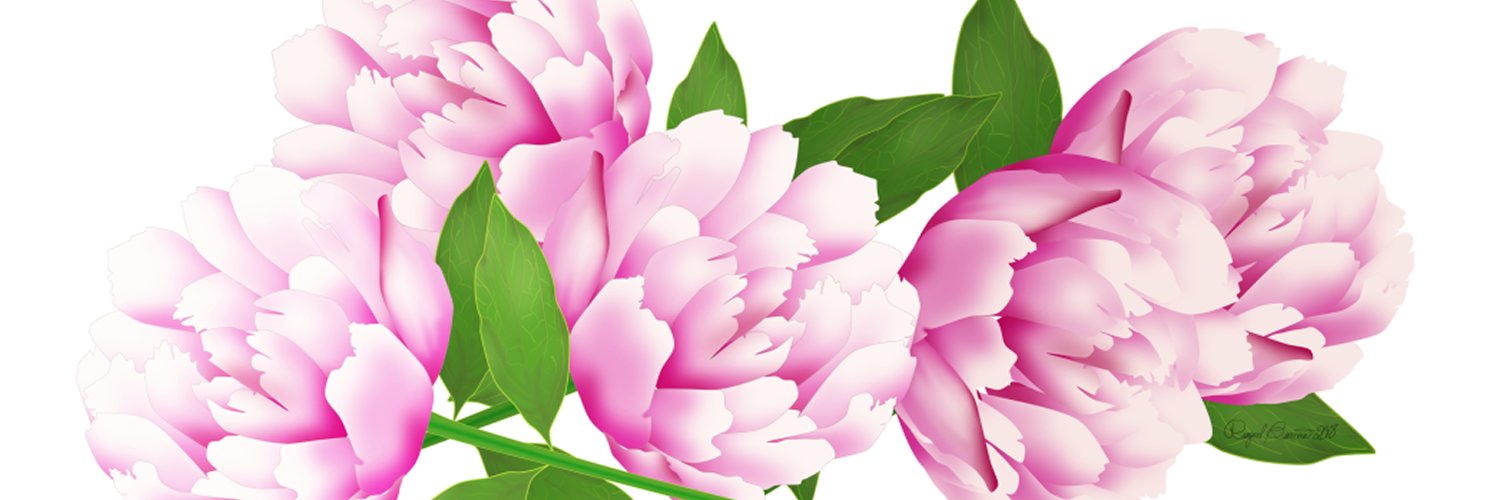 beauation's profile banner image