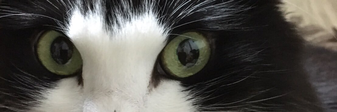 miremike's profile banner image