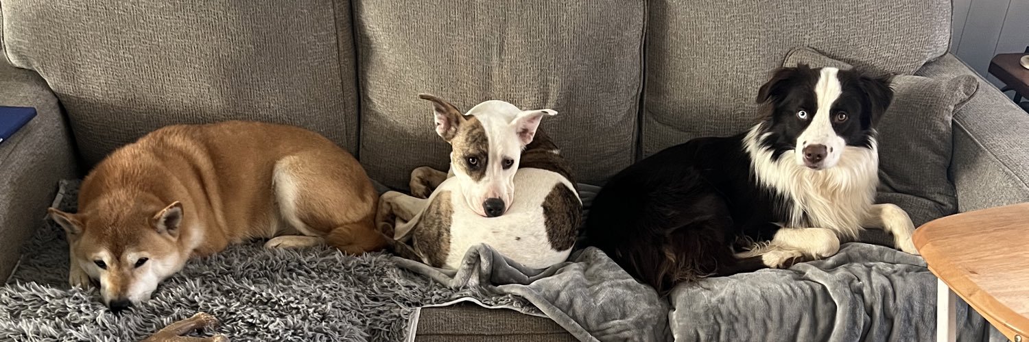 Kyle Stansell banner