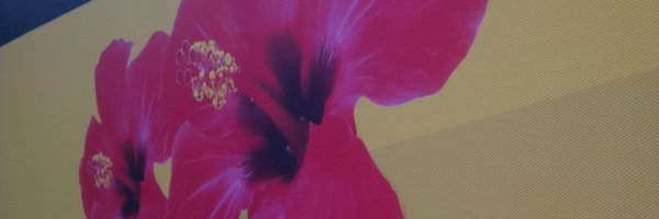 MyTechTourism Profile Banner
