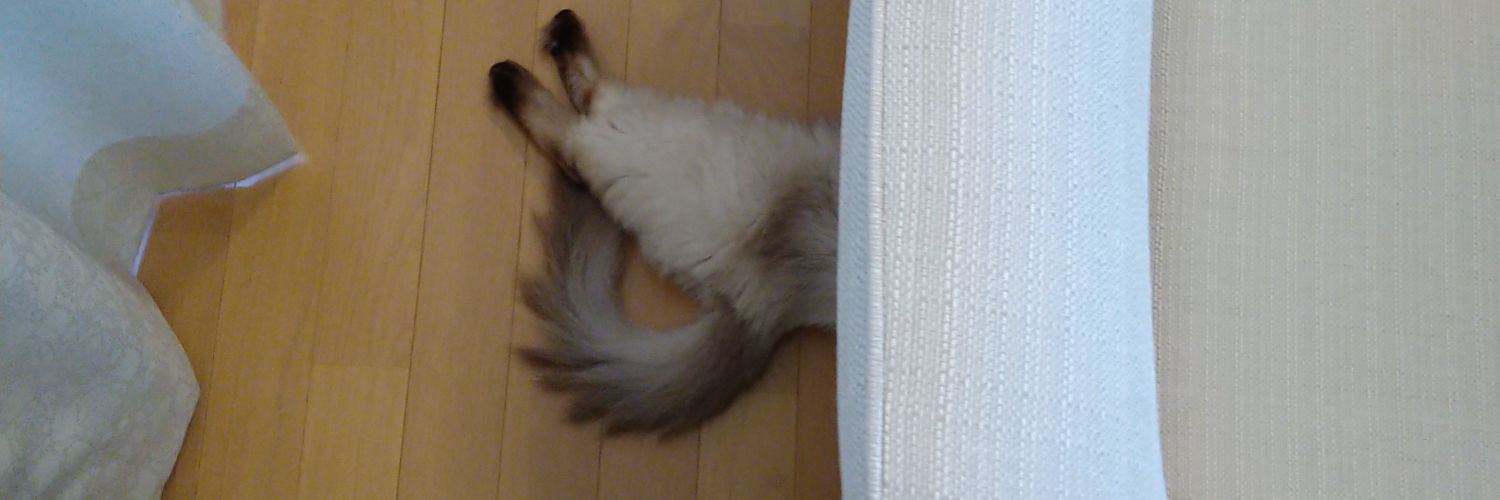 te_tra_'s profile banner image