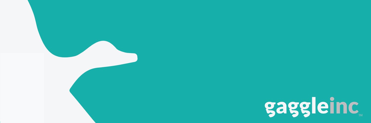 GaggleInc banner