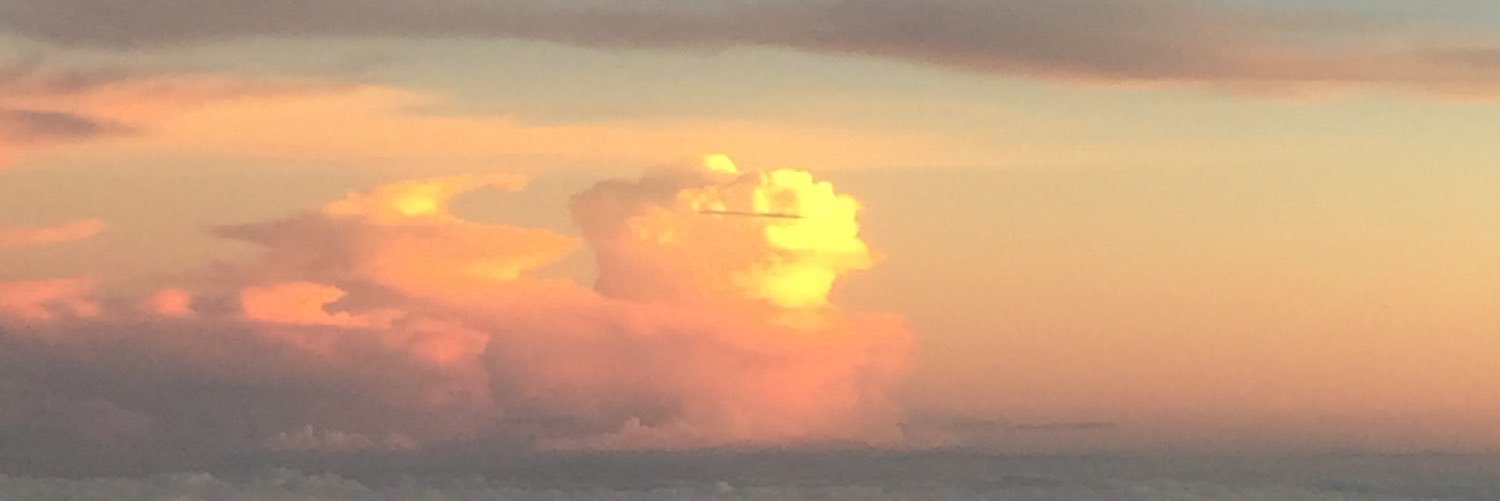 likeabitch_12's profile banner image