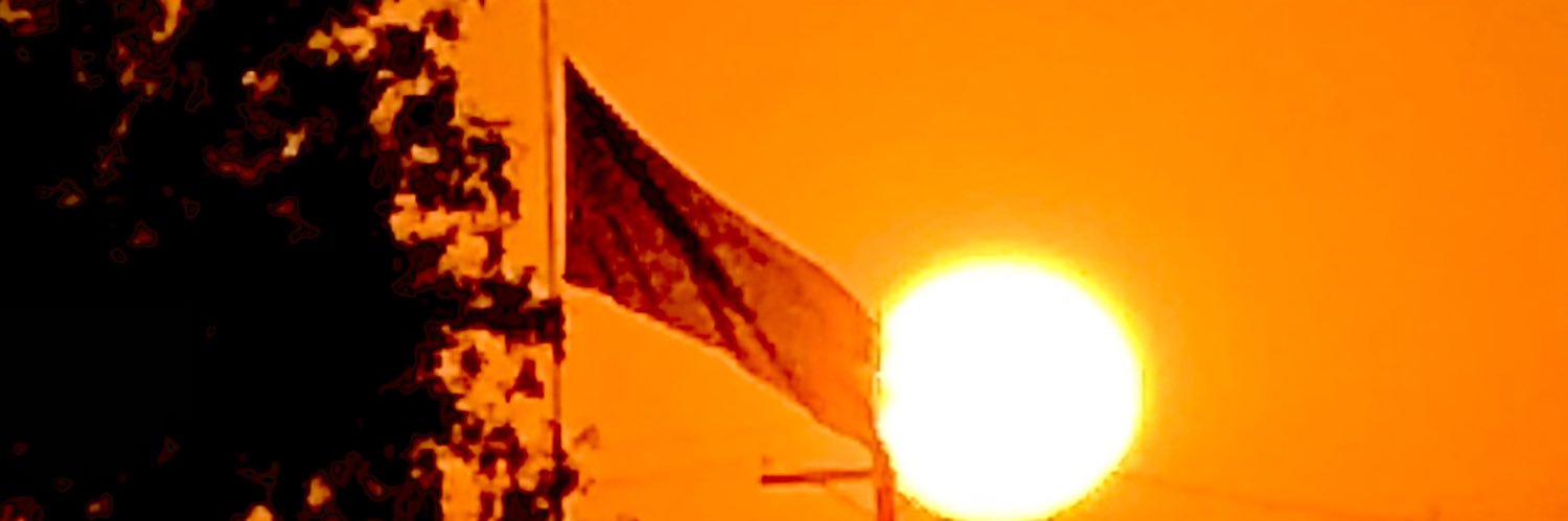 thefucknot's profile banner image
