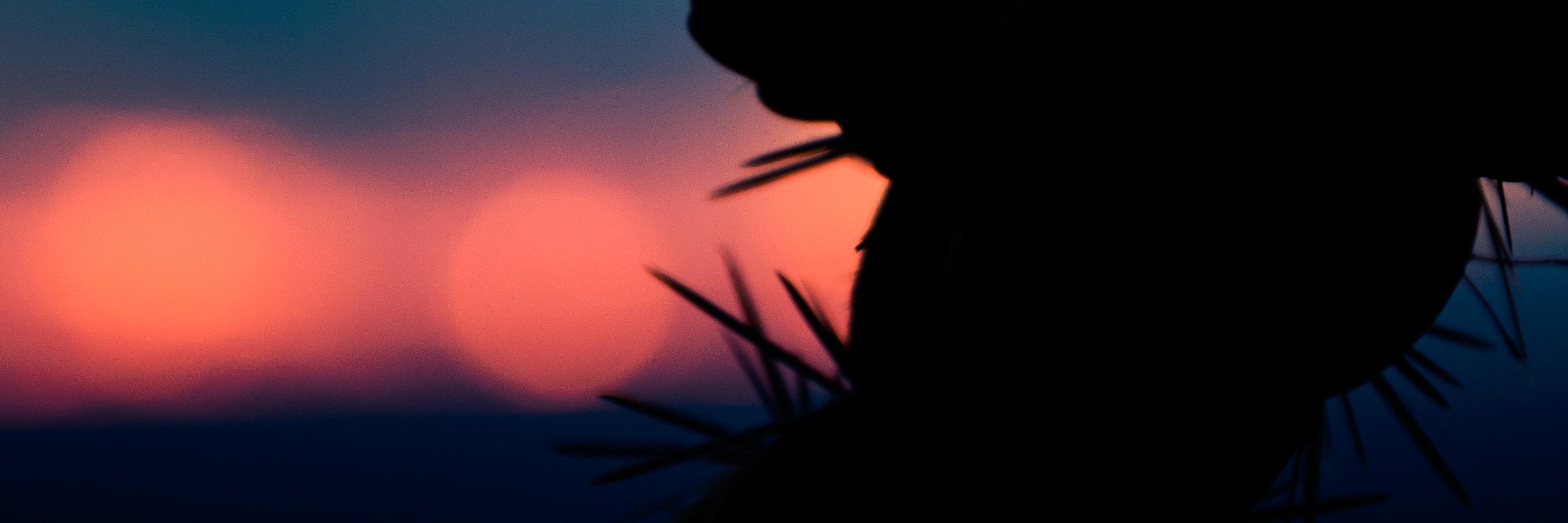 Hillary Newton banner