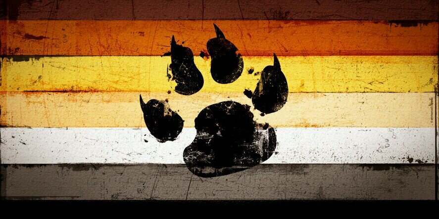 Freddy G 🇵🇷 banner