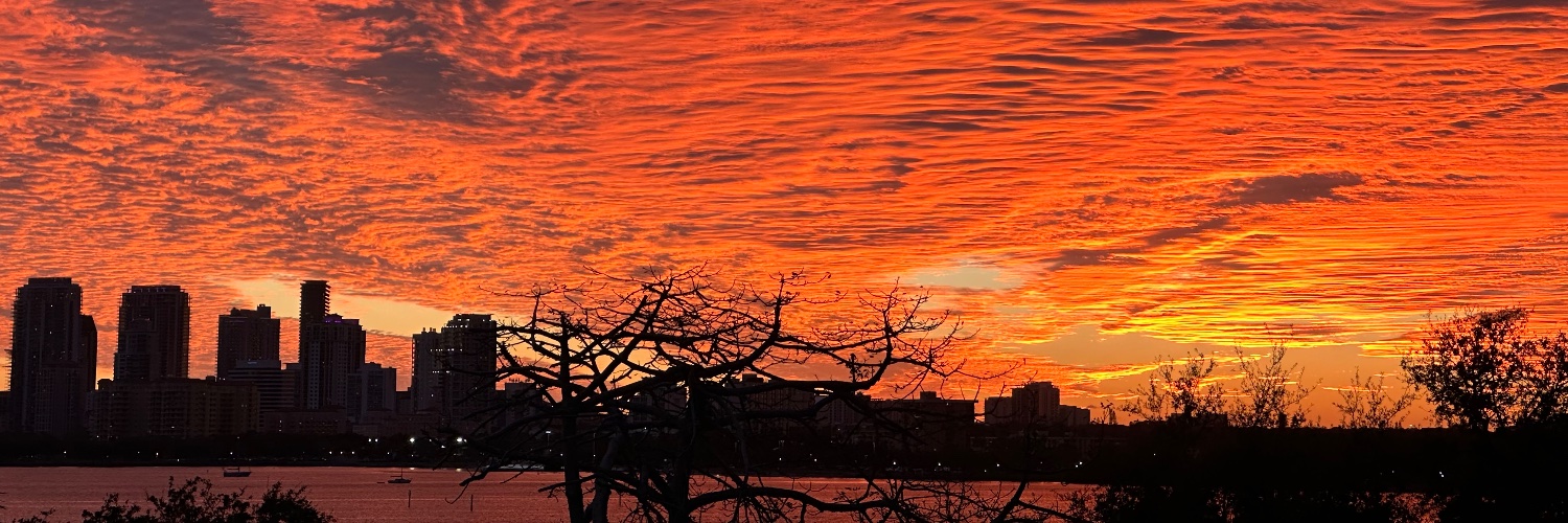 Deborah, citizen of the world banner