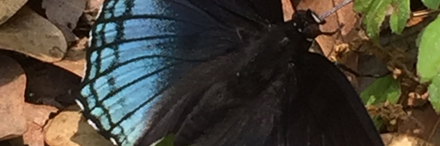 Jeesmiff45's profile banner image