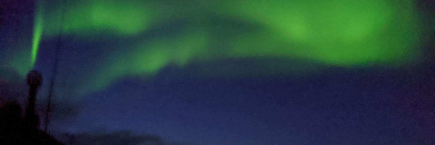 Michael Lowe banner