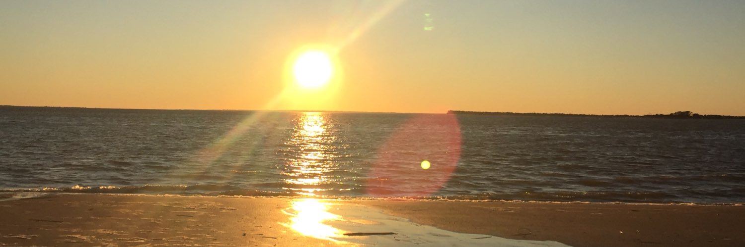 Chelsea Abreu banner