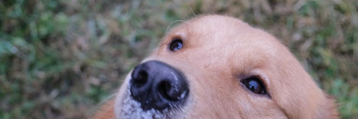 gmminuti's profile banner image