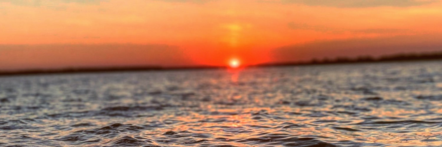 Dutt_Butt's profile banner image