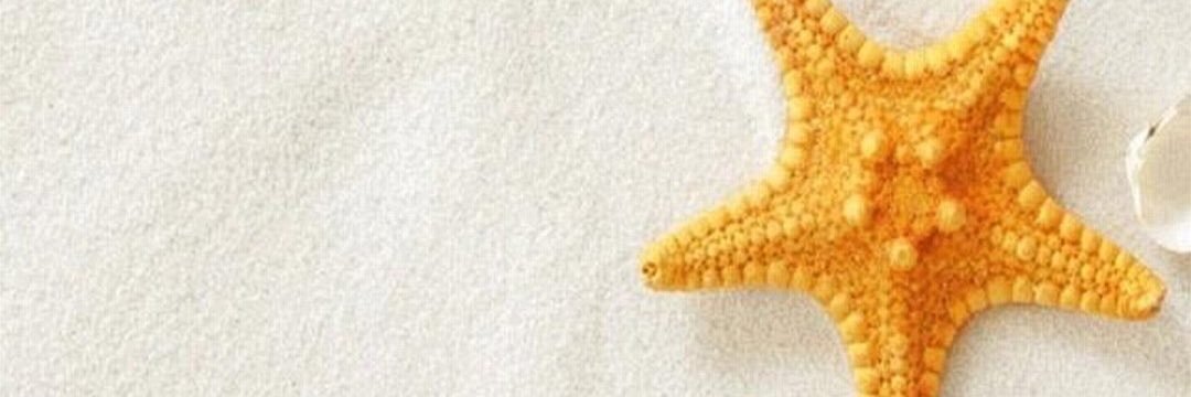 narumiiy's profile banner image