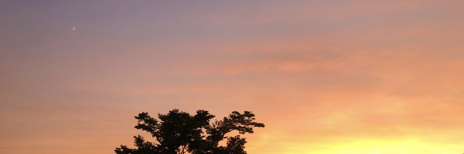 イリス2歳 banner