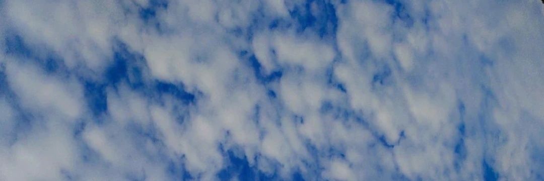 Who am I 🙃 banner