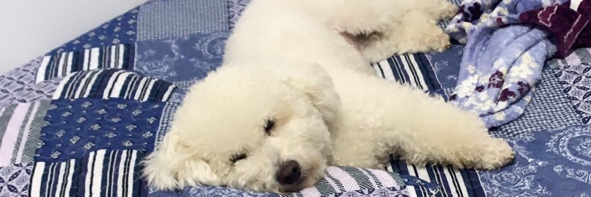 adrianoofialhoo's profile banner image