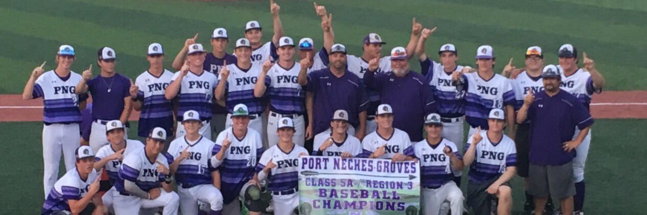 PNGBaseball banner