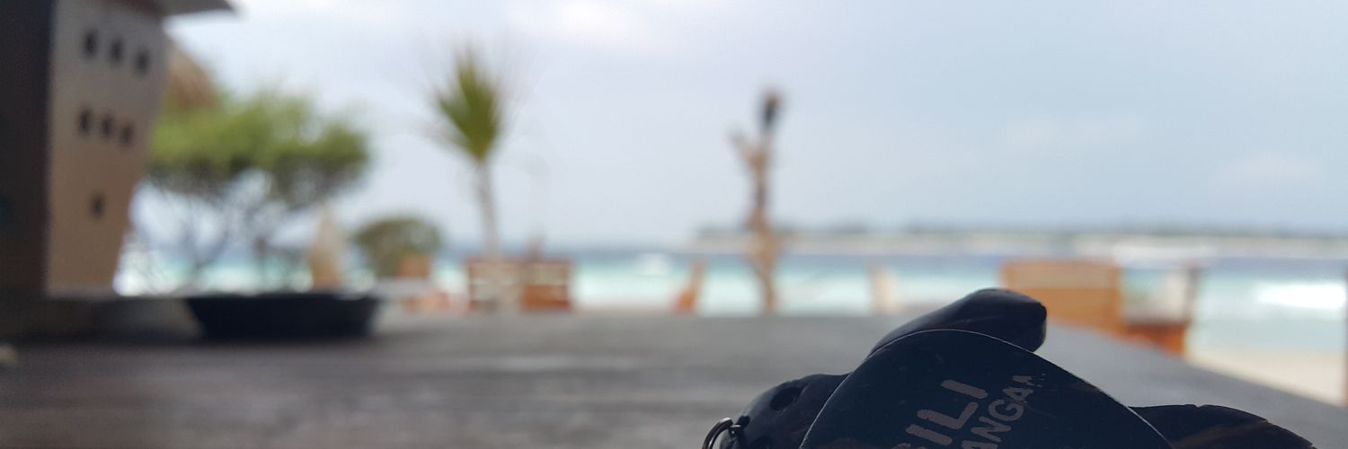 screamingsonix's profile banner image