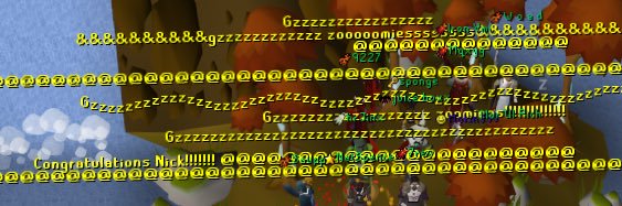 zoomiewoomies's profile banner image