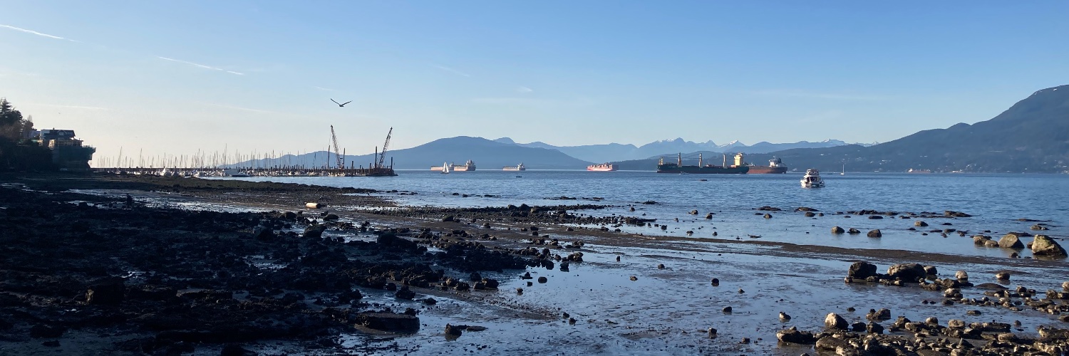 Stephen Hickson banner