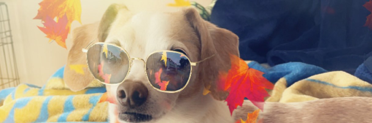 javi_h4's profile banner image