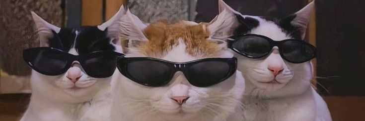 𝓒𝓮𝓵𝓮𝓼𝓽𝓮 banner