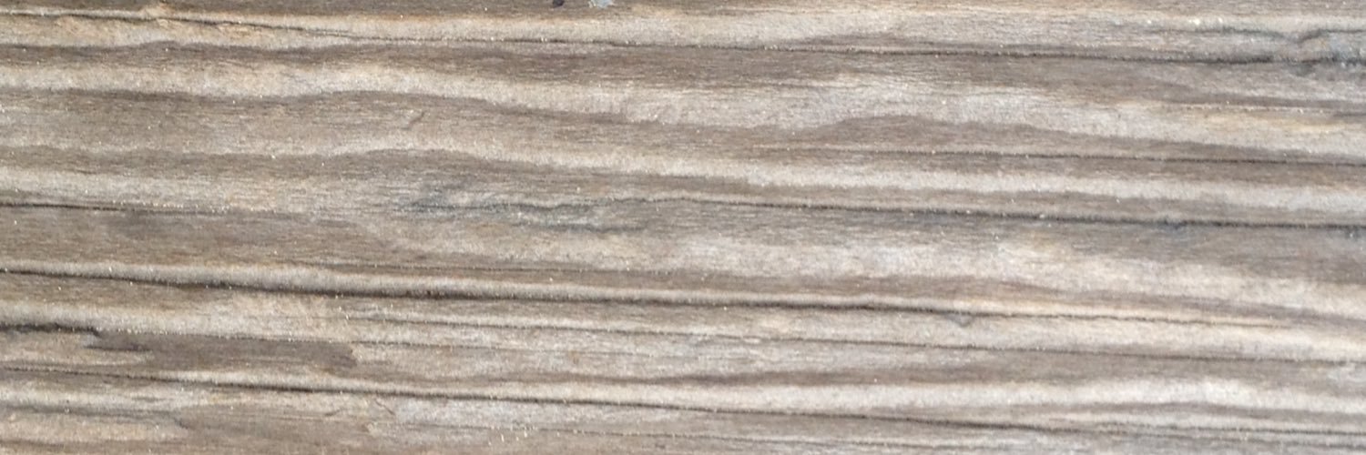 lokinomics's profile banner image