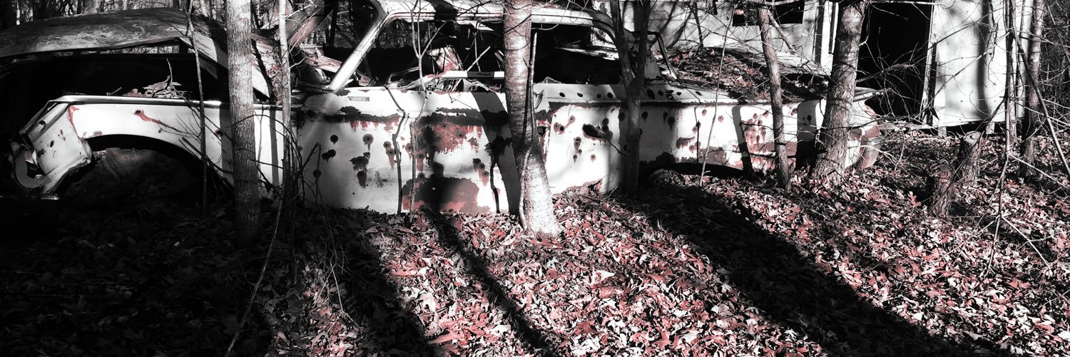 tylerwillardd's profile banner image