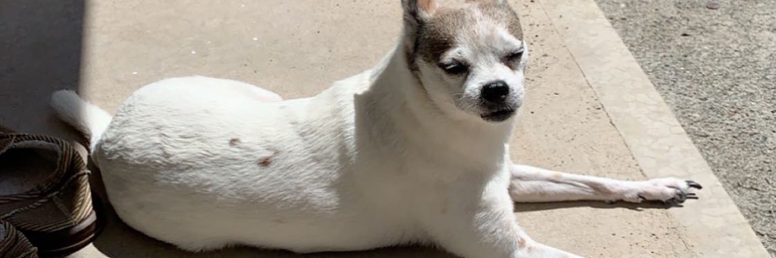 beanare8's profile banner image