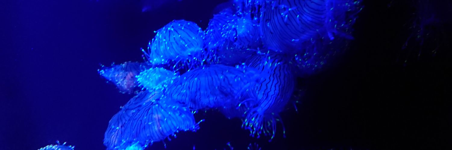 nextra1410's profile banner image