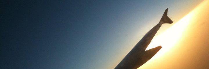 Nonii_kun's profile banner image