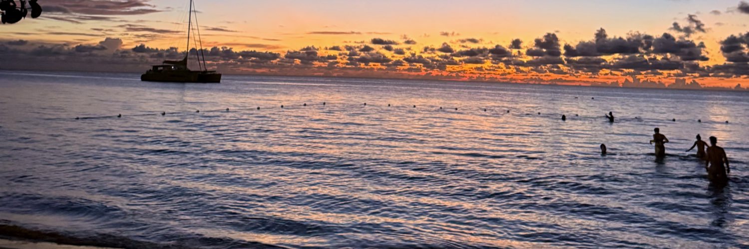 gulcandedeeli's profile banner image