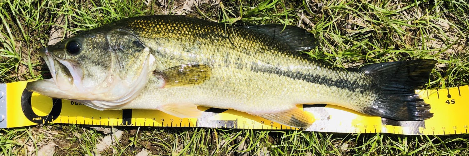 eg_hide_fishing's profile banner image