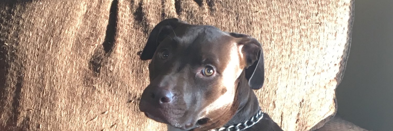 Bnolz5's profile banner image