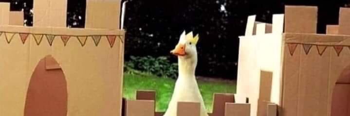 jaydelikesducks's profile banner image
