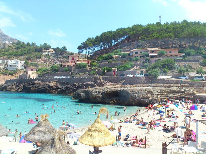 carmenbotija's profile banner image