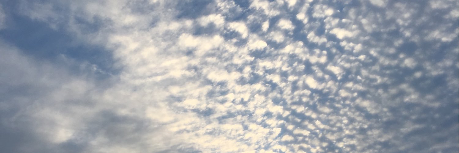 mr_airlnes's profile banner image