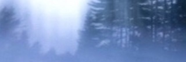 Mat60661's profile banner image