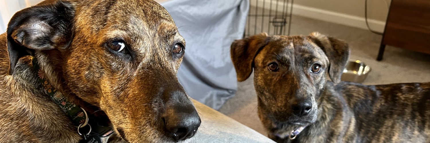 Kaylie (Kirkwood) Donelson banner