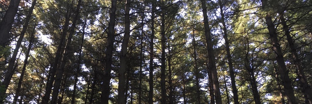 honnoldMP's profile banner image