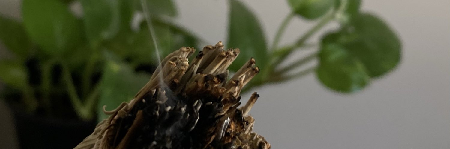 ۟ banner