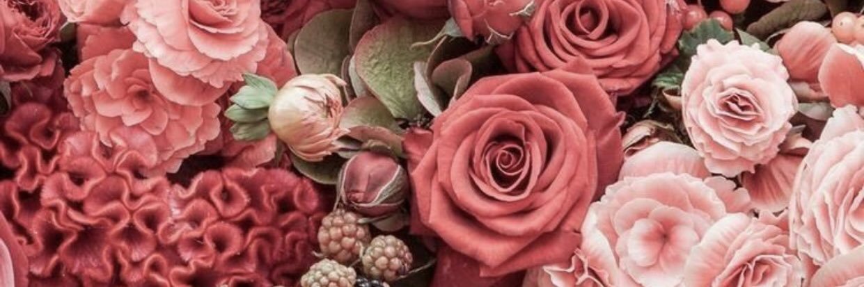 _gracegass's profile banner image