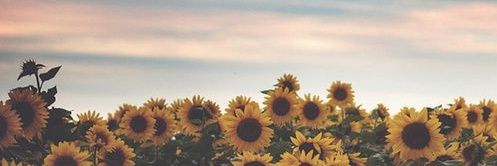 missrachoon's profile banner image