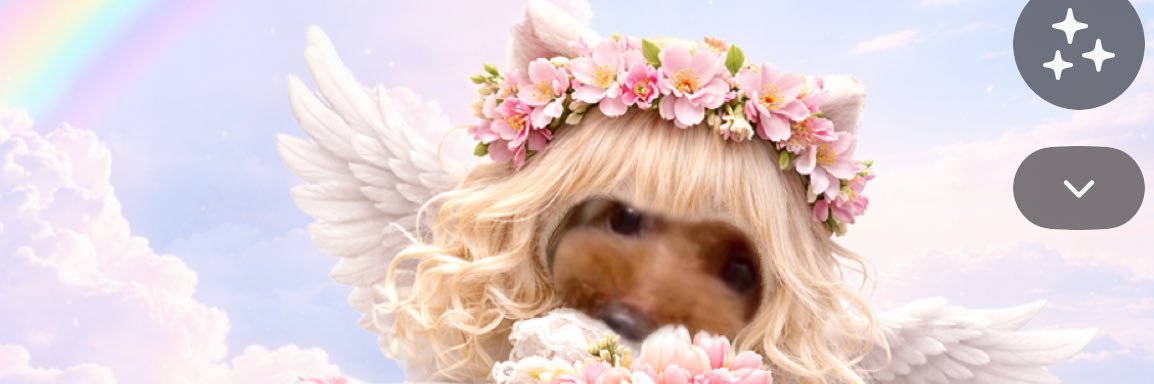 Tinker Bell🧚‍♀️🌹🏰🎹🎶🎵 banner