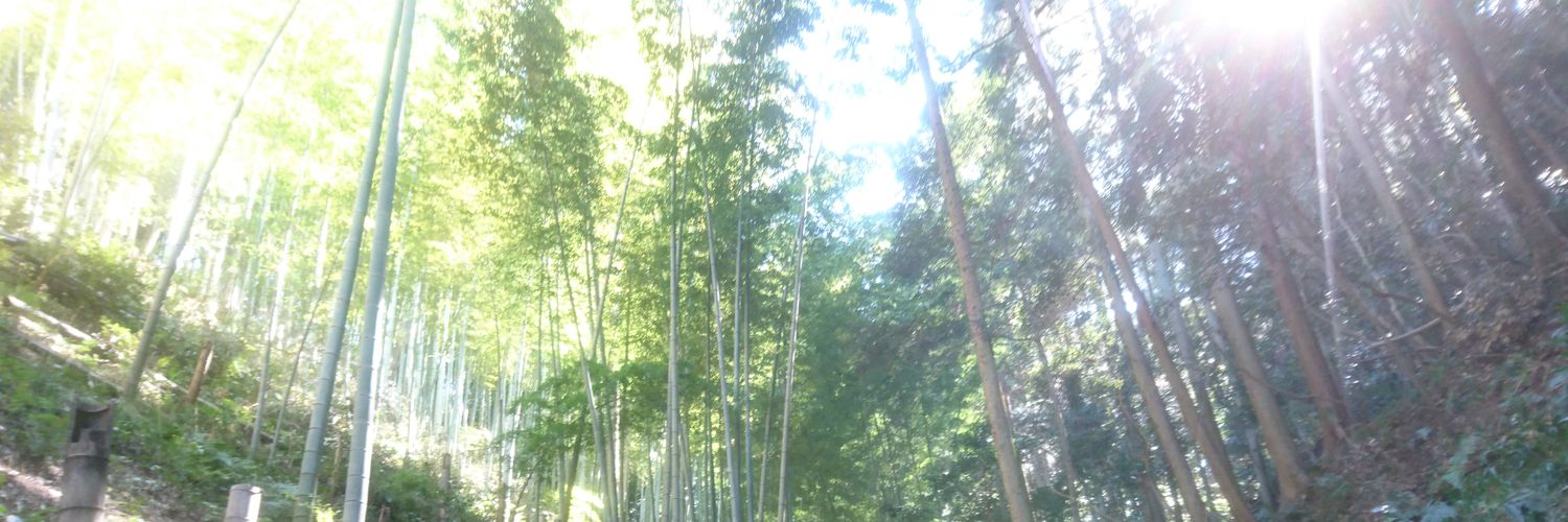 hamachanlife's profile banner image