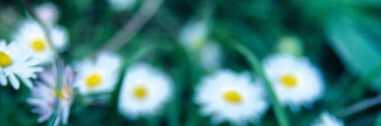 3hood242's profile banner image