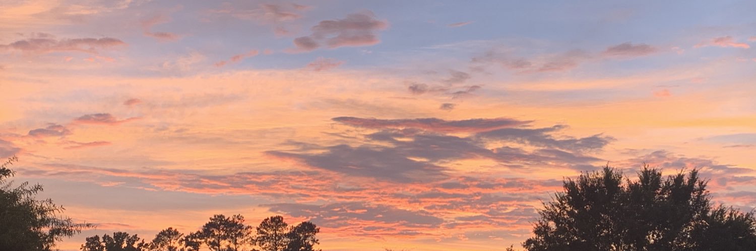 StockmanLaura's profile banner image