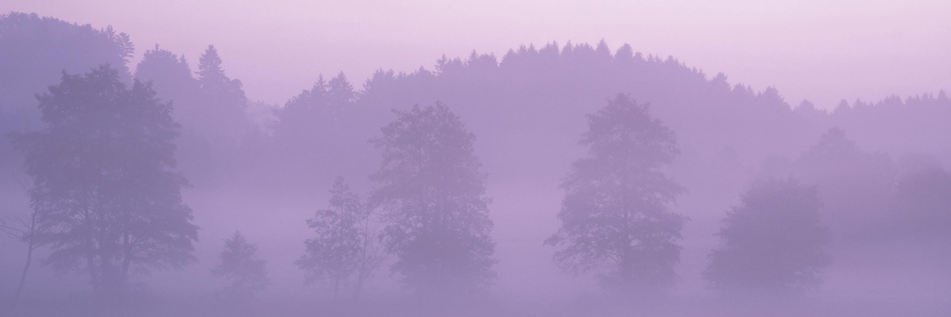 うらっち🇺🇦 banner