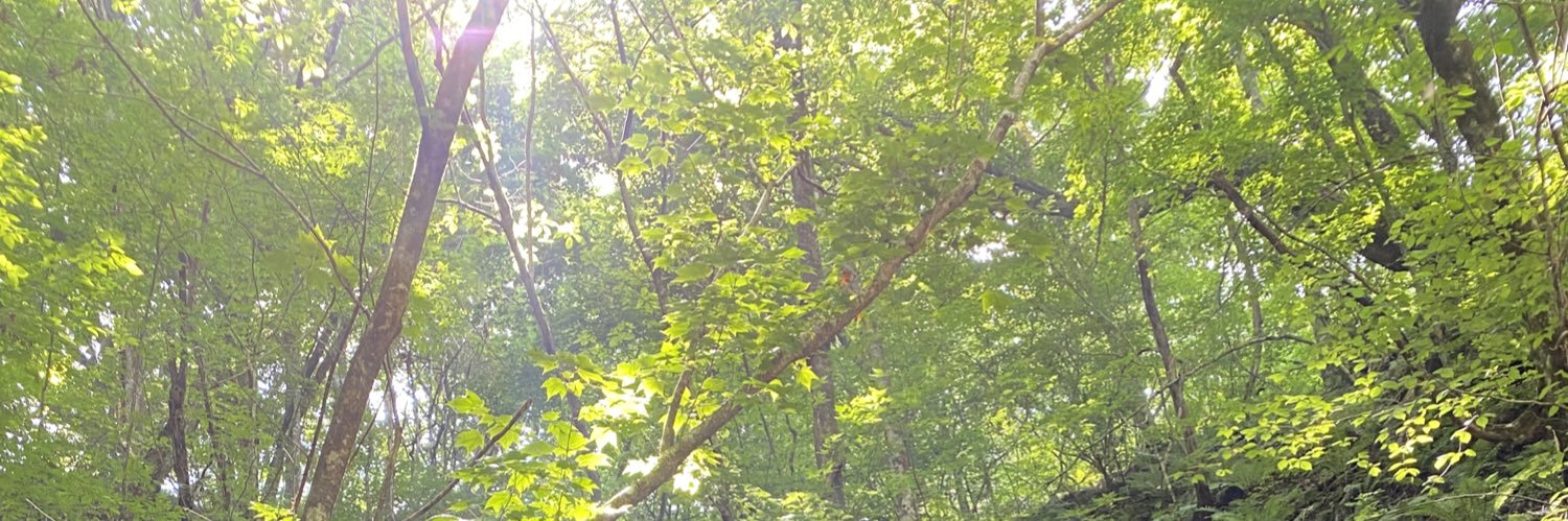 Bottyan123's profile banner image