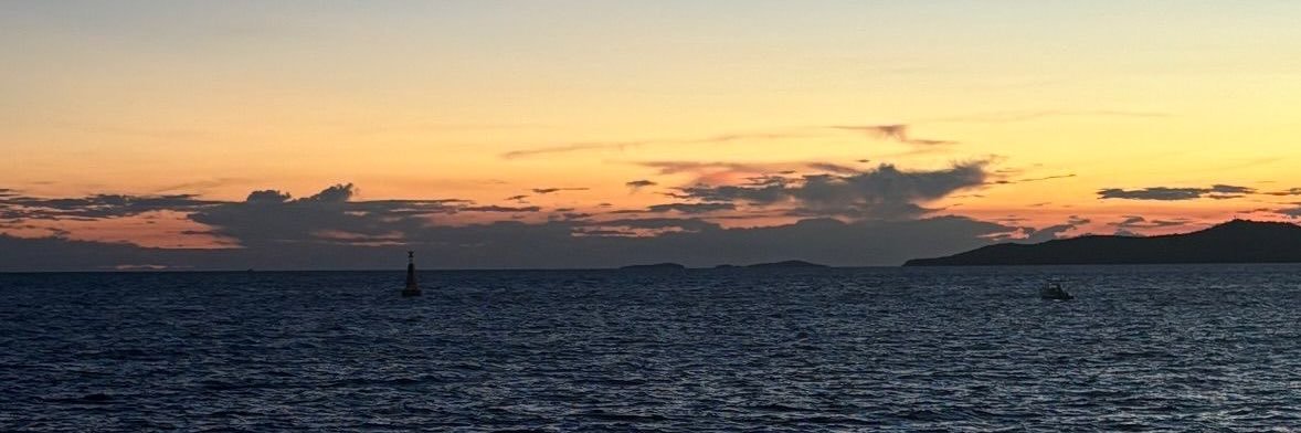 SaintAlice___'s profile banner image